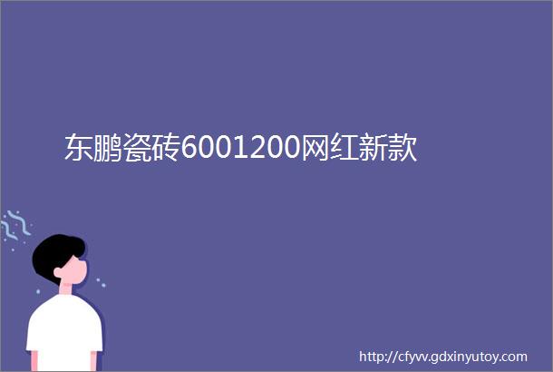 东鹏瓷砖6001200网红新款