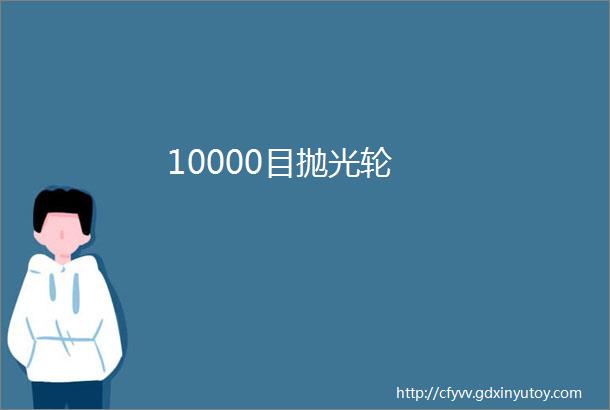 10000目抛光轮